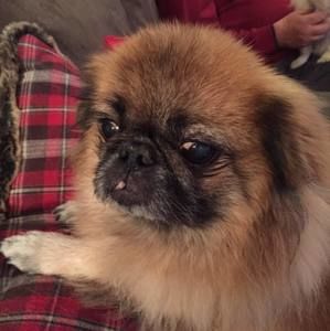 Meet your Posher, Deborah